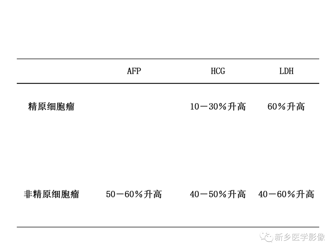 【PPT】睾丸精原细胞瘤