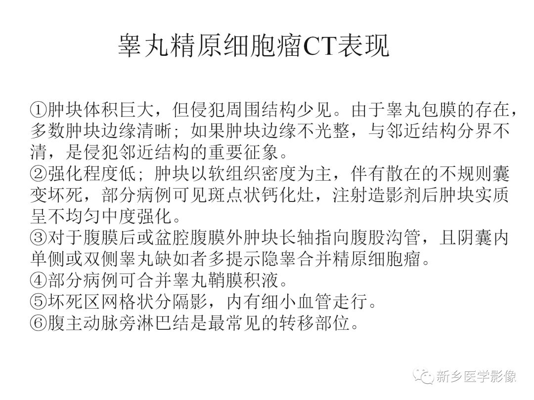 【PPT】睾丸精原细胞瘤