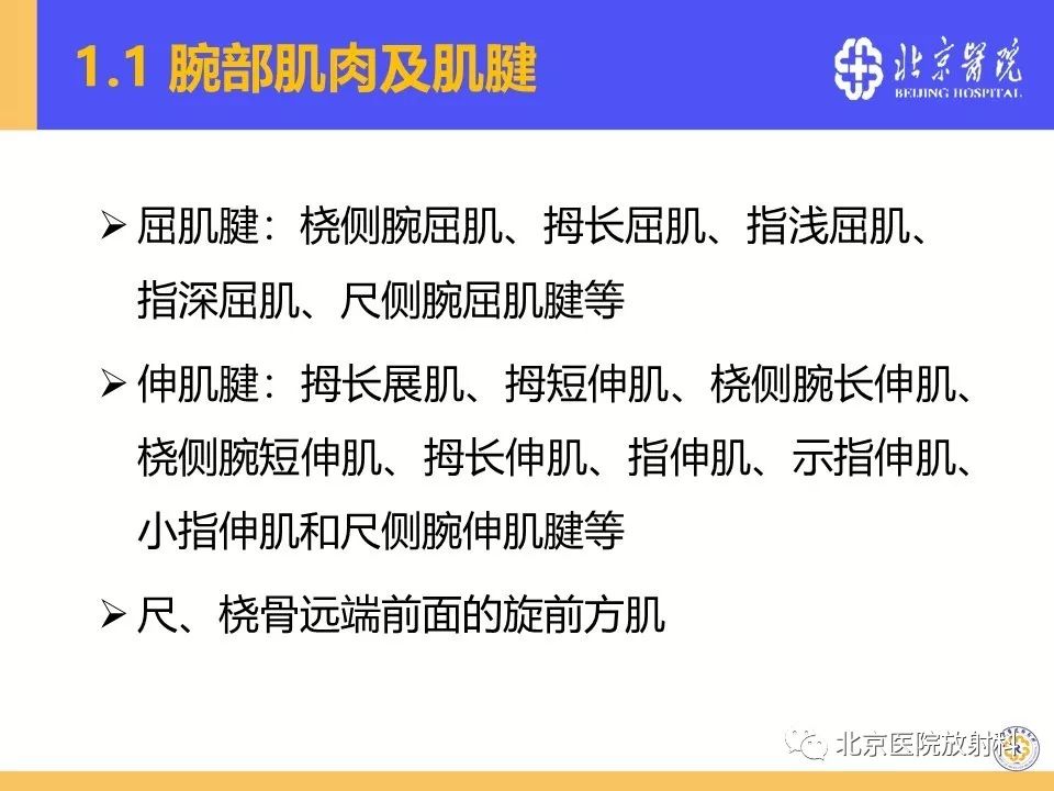 【PPT】三角纤维软骨复合体（TFCC）损伤