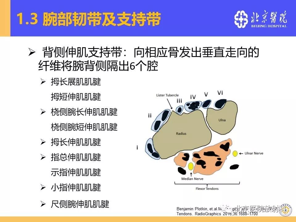 【PPT】三角纤维软骨复合体（TFCC）损伤