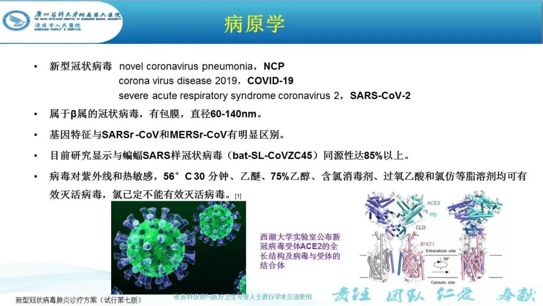 【PPT】新冠病毒肺炎影像学表现