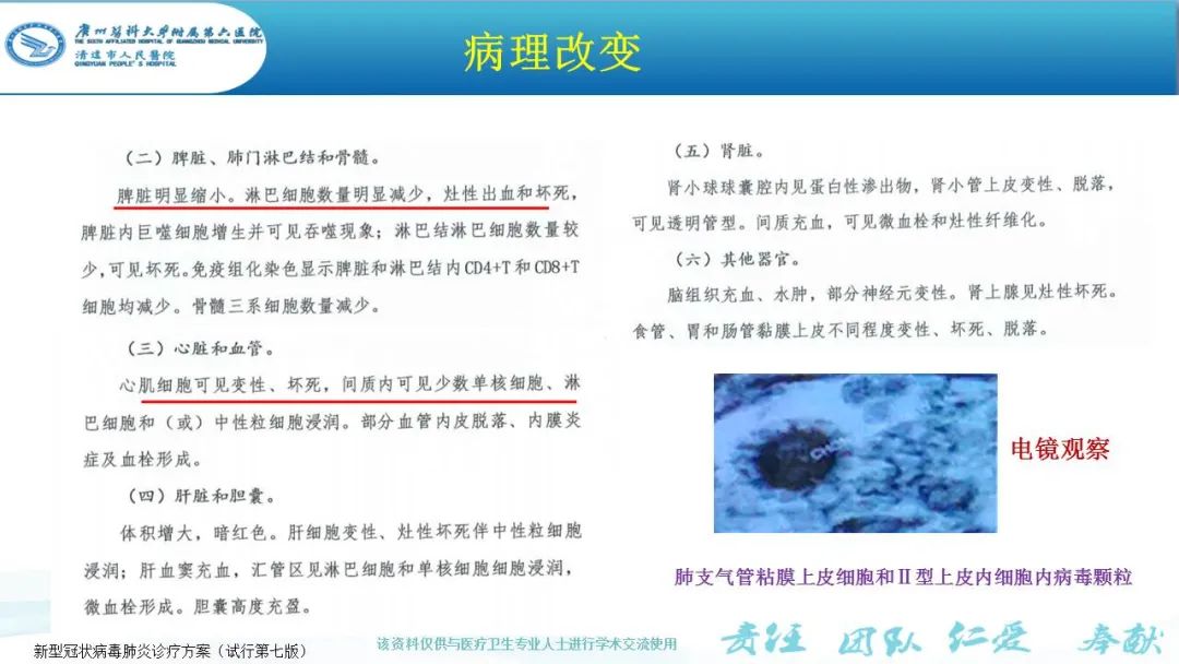 【PPT】新冠病毒肺炎影像学表现