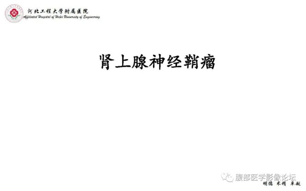 【PPT】肾上腺神经鞘瘤