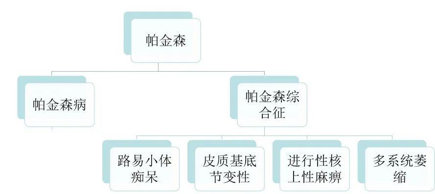 帕金森病和帕金森综合征的影像 帕金森病和帕金森综合征的影像