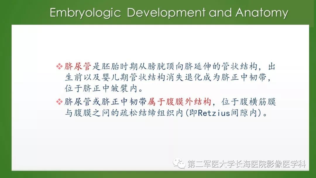 【PPT】脐尿管异常的影像表现与临床