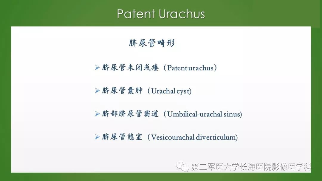 【PPT】脐尿管异常的影像表现与临床