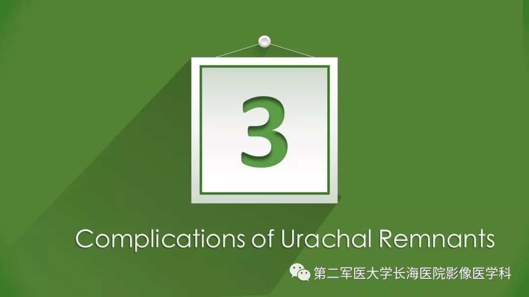 【PPT】脐尿管异常的影像表现与临床