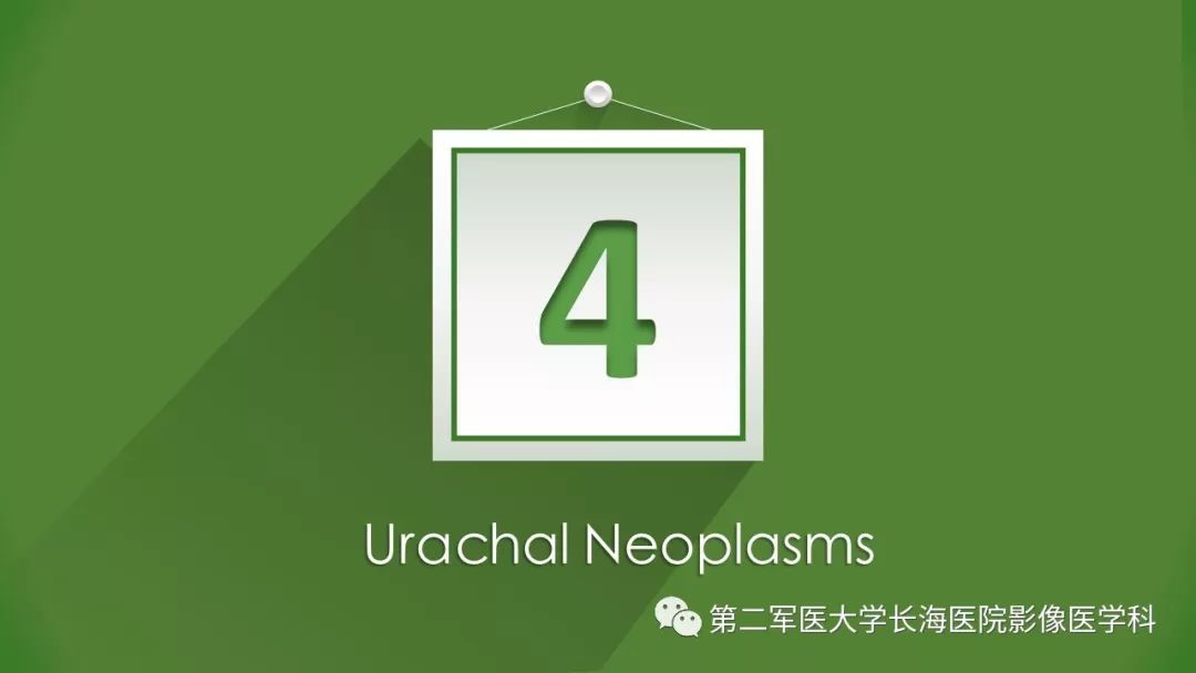 【PPT】脐尿管异常的影像表现与临床