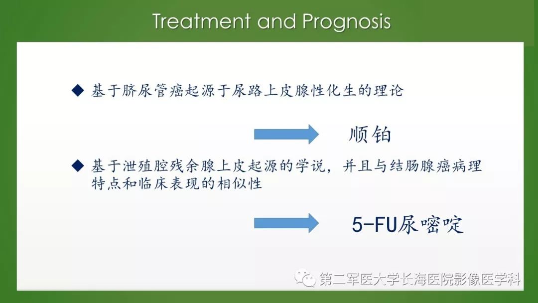 【PPT】脐尿管异常的影像表现与临床