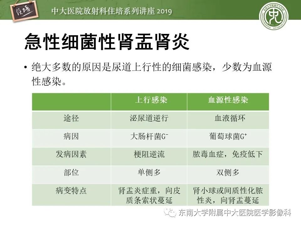 【PPT】肾脏感染性病变的影像学表现