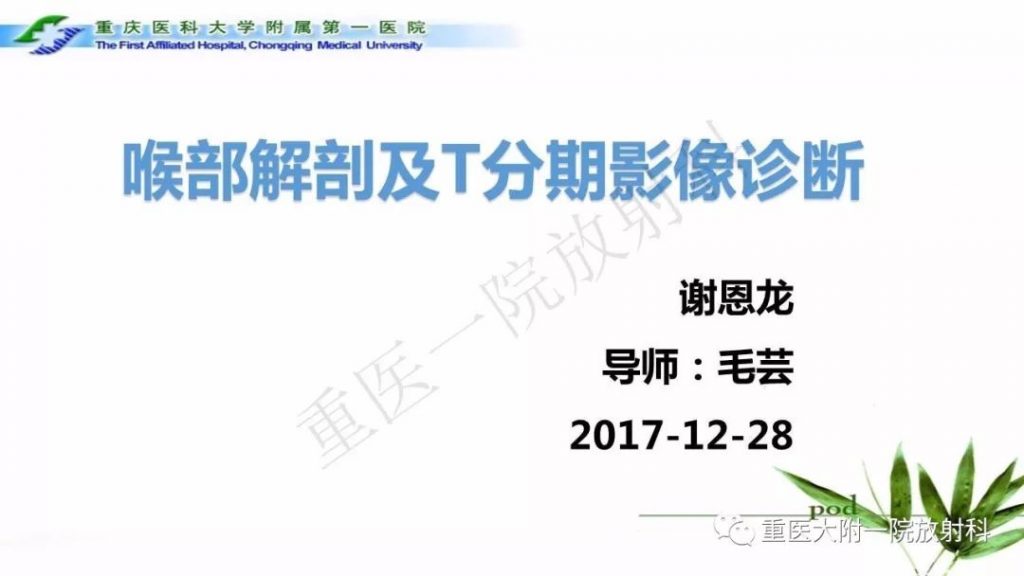 【PPT】咽部解剖及T分期影像诊断