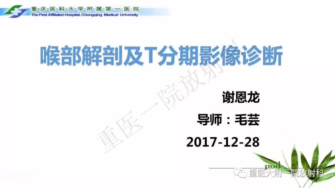 【PPT】咽部解剖及T分期影像诊断