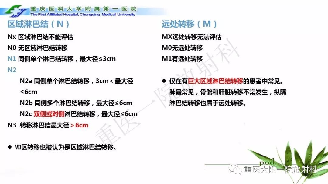 【PPT】咽部解剖及T分期影像诊断