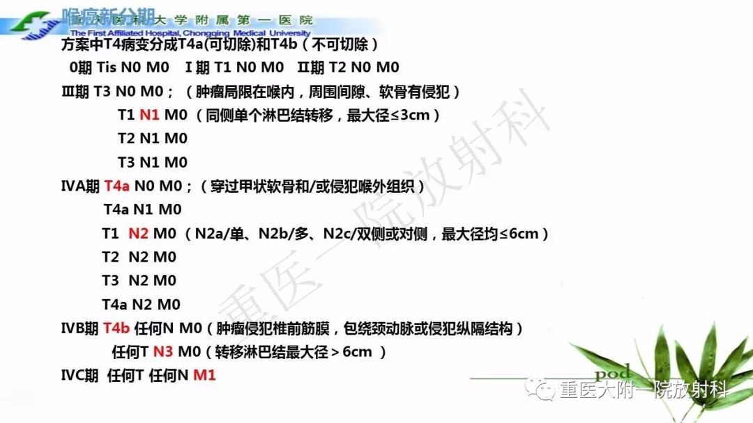 【PPT】咽部解剖及T分期影像诊断