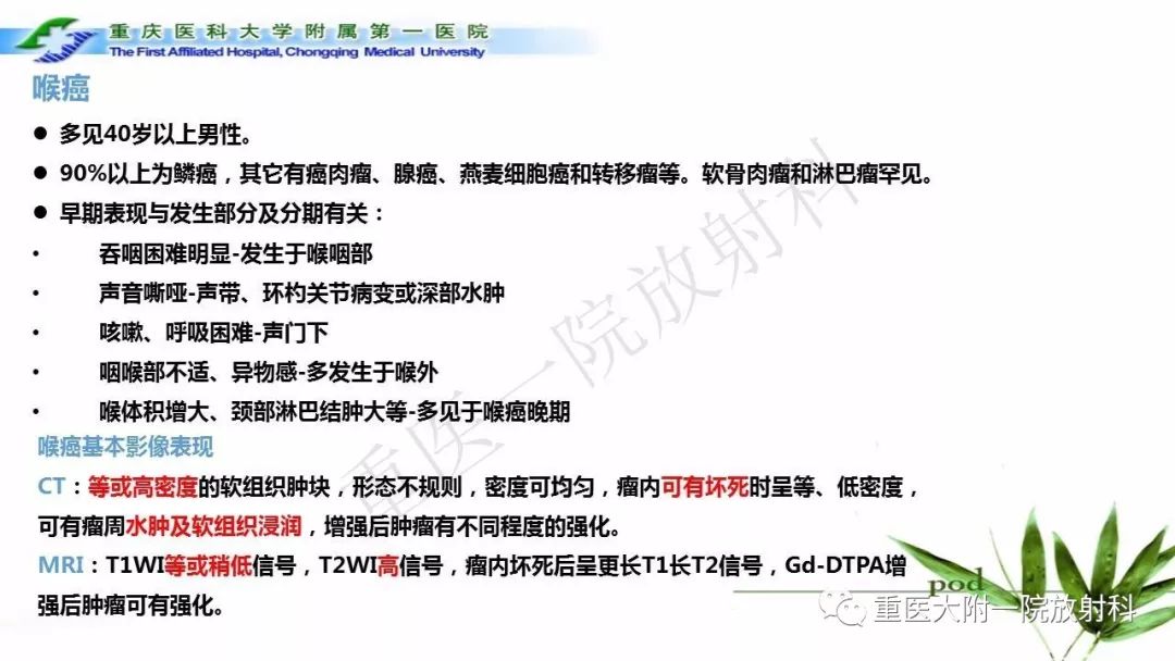 【PPT】咽部解剖及T分期影像诊断