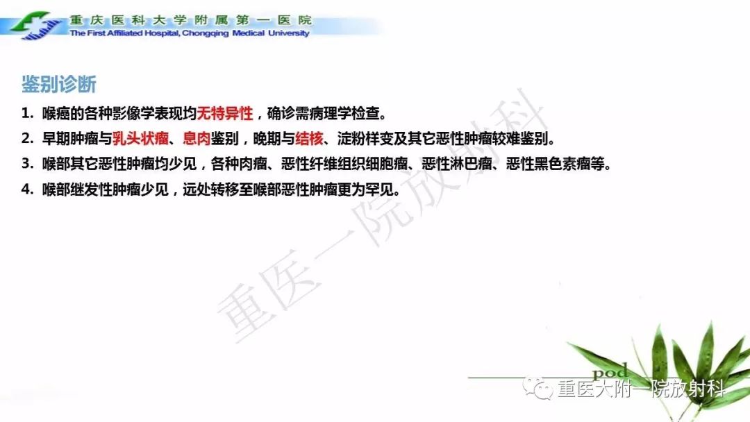 【PPT】咽部解剖及T分期影像诊断