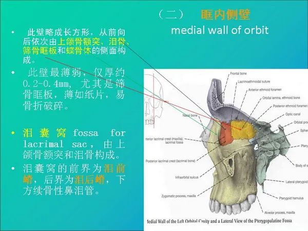 【PPT】常见眶内肿瘤影像诊断与鉴别诊断