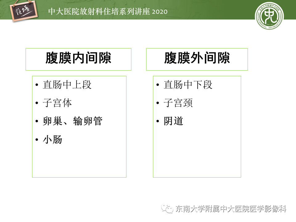 【PPT】女性盆腔实性占位性病变定位分析