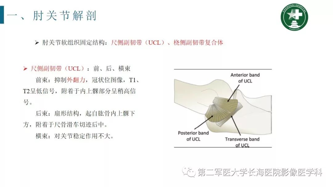 【PPT】肘关节运动损伤MR诊断