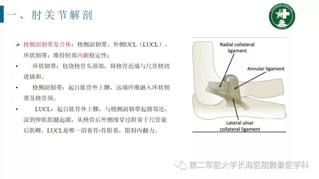 【PPT】肘关节运动损伤MR诊断