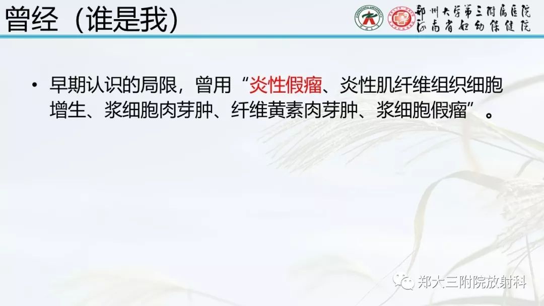 【PPT】炎性肌纤维母细胞瘤的影像表现