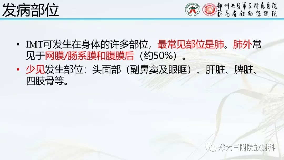 【PPT】炎性肌纤维母细胞瘤的影像表现