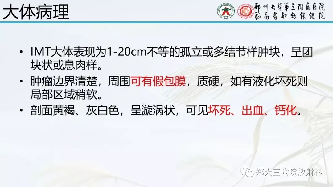 【PPT】炎性肌纤维母细胞瘤的影像表现