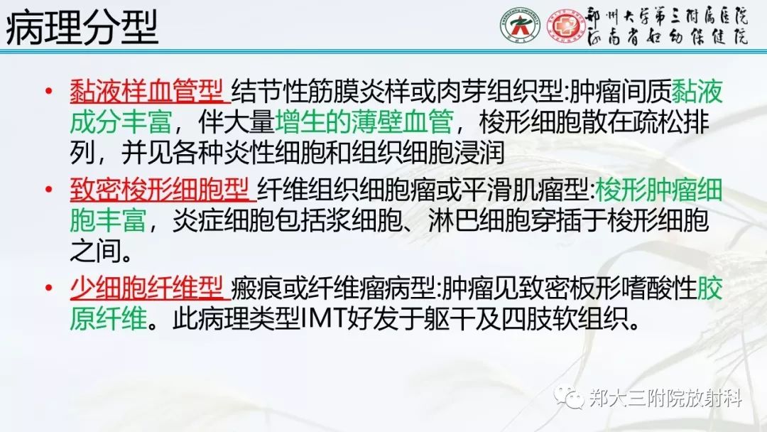 【PPT】炎性肌纤维母细胞瘤的影像表现