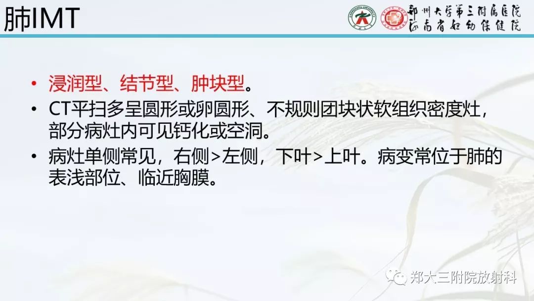 【PPT】炎性肌纤维母细胞瘤的影像表现
