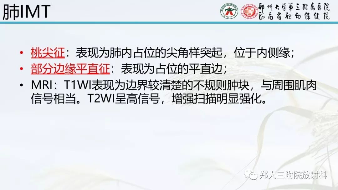 【PPT】炎性肌纤维母细胞瘤的影像表现