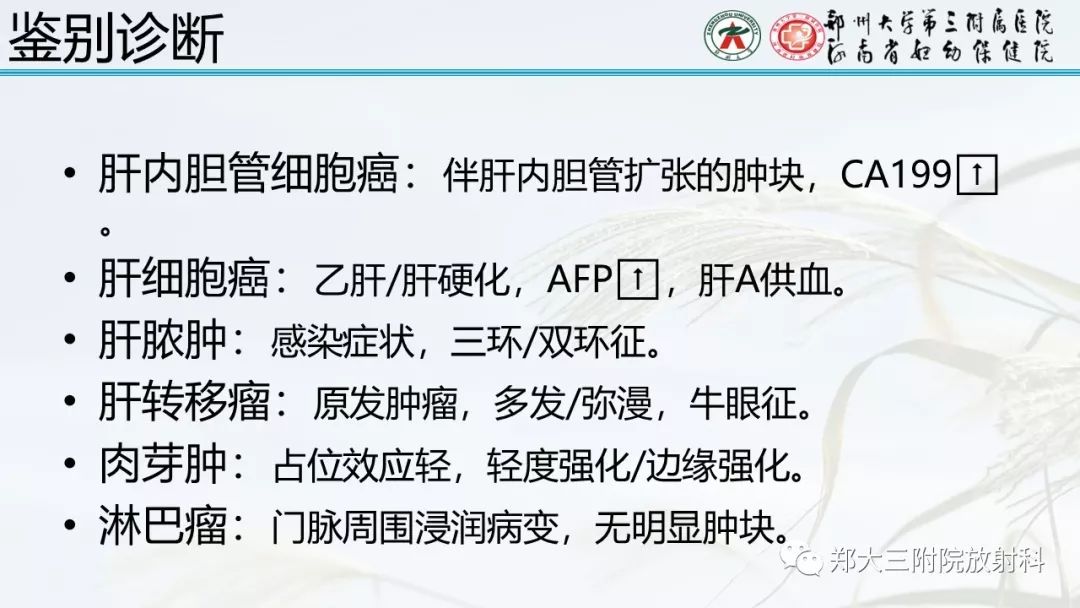 【PPT】炎性肌纤维母细胞瘤的影像表现