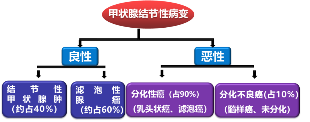 甲状腺结节良恶性的影像鉴别 甲状腺结节良恶性的影像鉴别