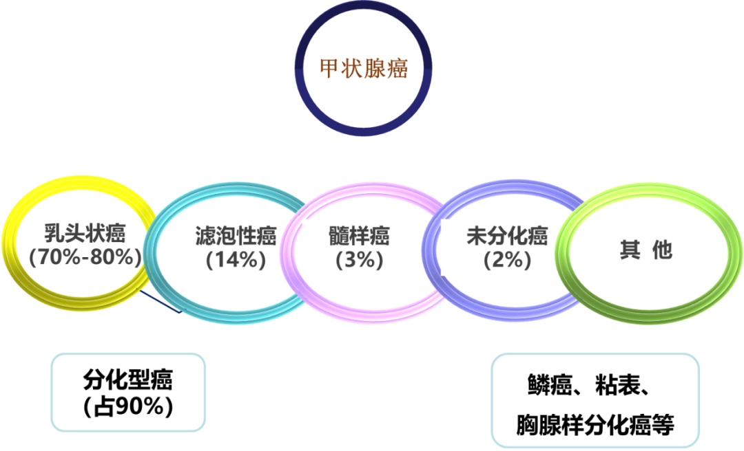 甲状腺结节良恶性的影像鉴别 甲状腺结节良恶性的影像鉴别