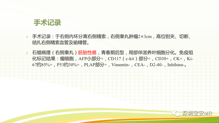 【PPT】影像病例学习：睾丸病变2例