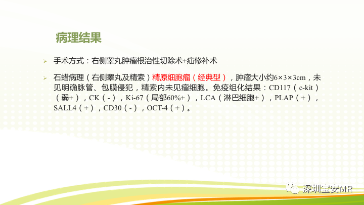 【PPT】影像病例学习：睾丸病变2例