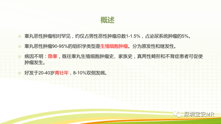 【PPT】影像病例学习：睾丸病变2例