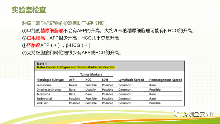 【PPT】影像病例学习：睾丸病变2例