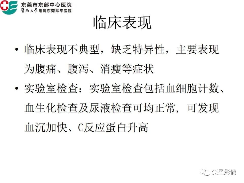 【PPT】肠系膜脂膜炎的CT表现