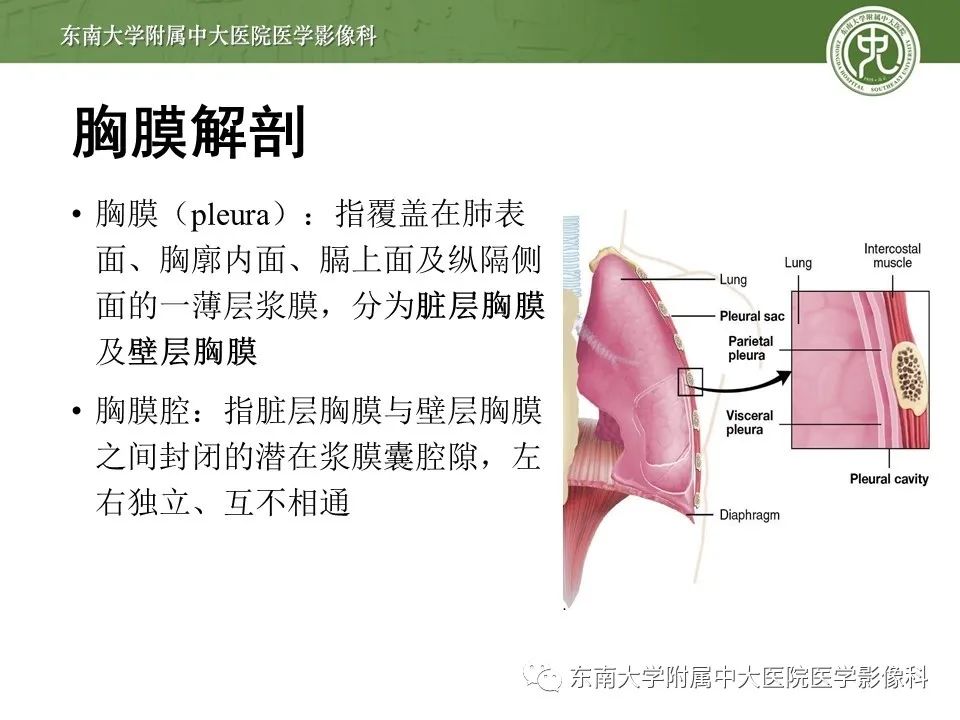 【PPT】胸膜孤立性纤维瘤