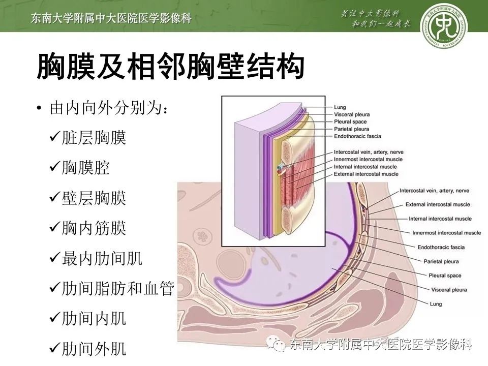 【PPT】胸膜孤立性纤维瘤
