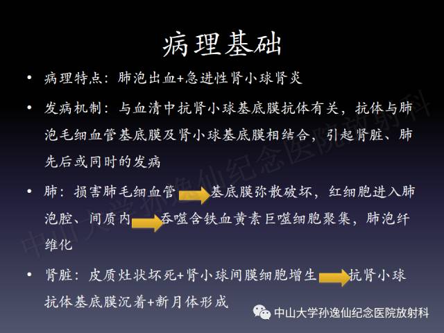【PPT】肺出血的影像学特征