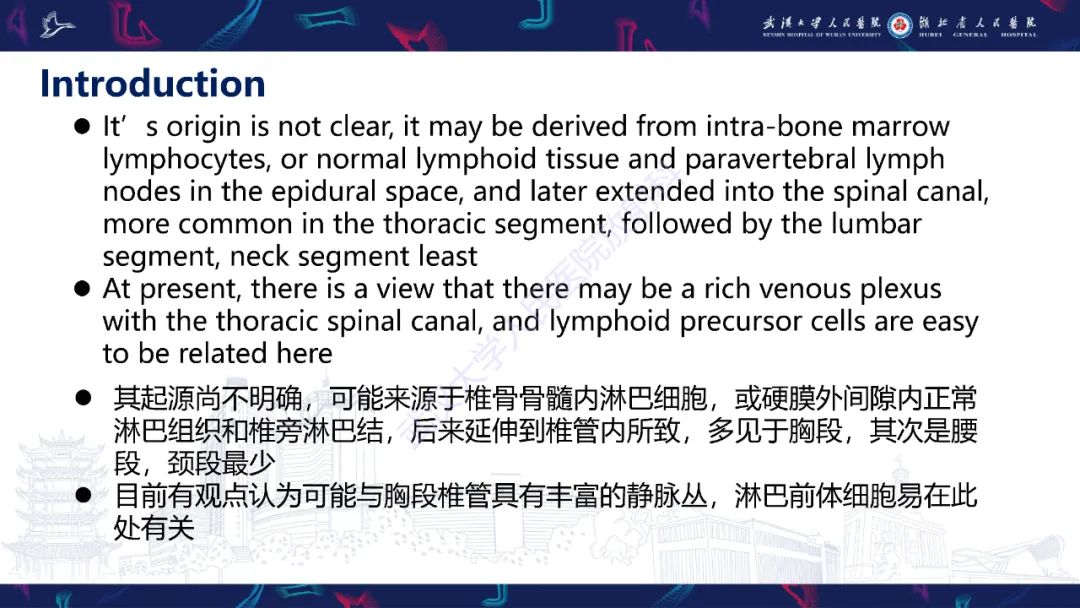 【PPT】原发性椎管内淋巴瘤影像诊断