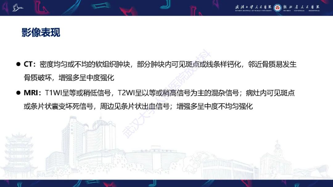 影像PPT - 【PPT】鼻腔鼻窦神经内分泌癌影像诊断及鉴别诊断-6