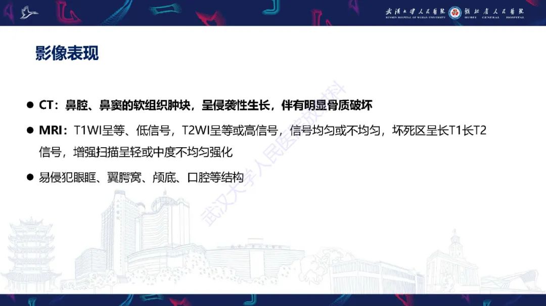 影像PPT - 【PPT】鼻腔鼻窦神经内分泌癌影像诊断及鉴别诊断-12