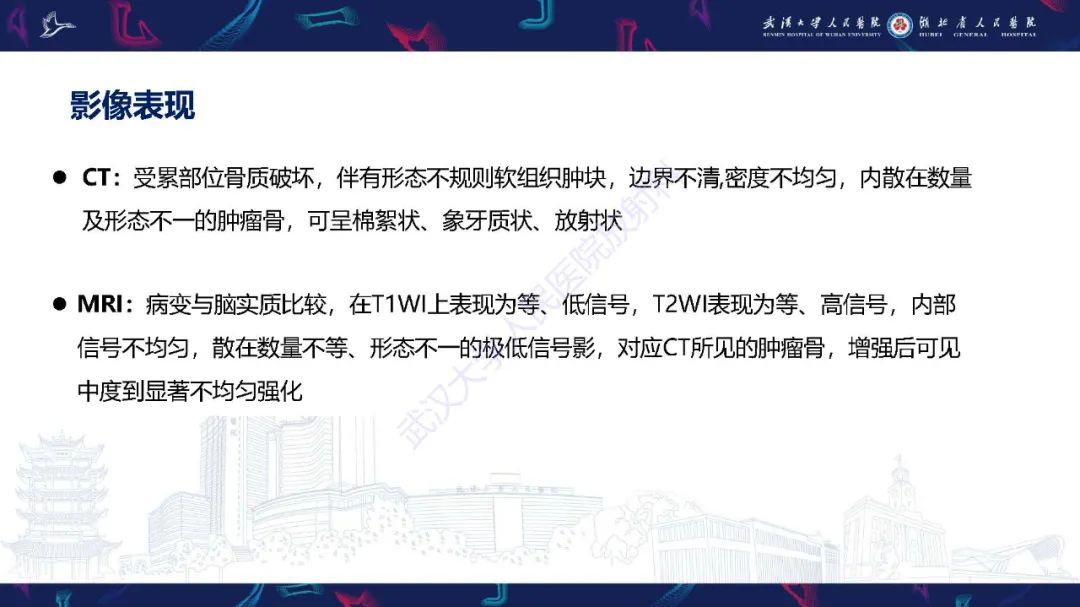 影像PPT - 【PPT】鼻腔鼻窦神经内分泌癌影像诊断及鉴别诊断-18