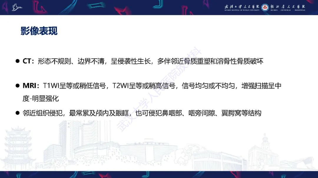 影像PPT - 【PPT】鼻腔鼻窦神经内分泌癌影像诊断及鉴别诊断-21
