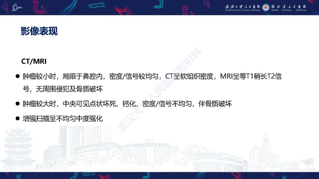 影像PPT - 【PPT】鼻腔鼻窦神经内分泌癌影像诊断及鉴别诊断-25