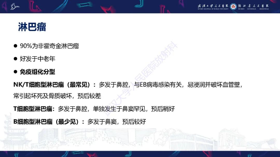 影像PPT - 【PPT】鼻腔鼻窦神经内分泌癌影像诊断及鉴别诊断-28