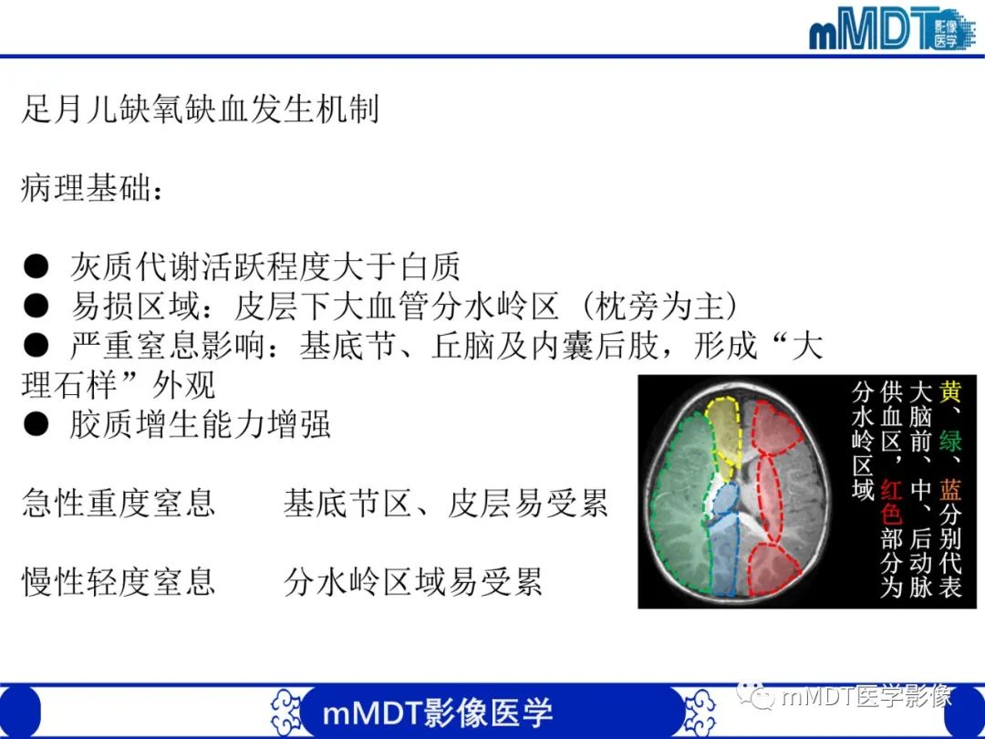 影像PPT - 【PPT】新生儿HIE影像学表现-6 影像PPT - 【PPT】新生儿HIE影像学表现-6