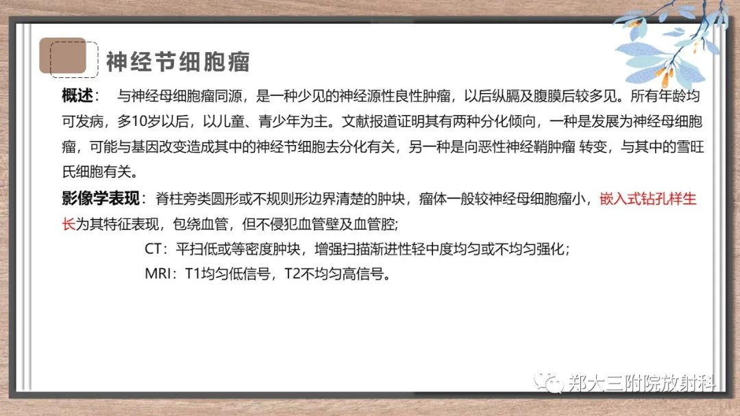 影像PPT - 【病例】神经母细胞瘤1例CT影像鉴别诊断-22